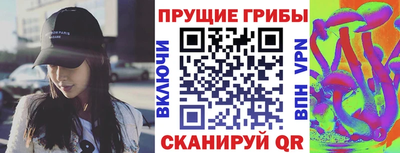 купить закладку  Зуевка  Галлюциногенные грибы Psilocybine cubensis 